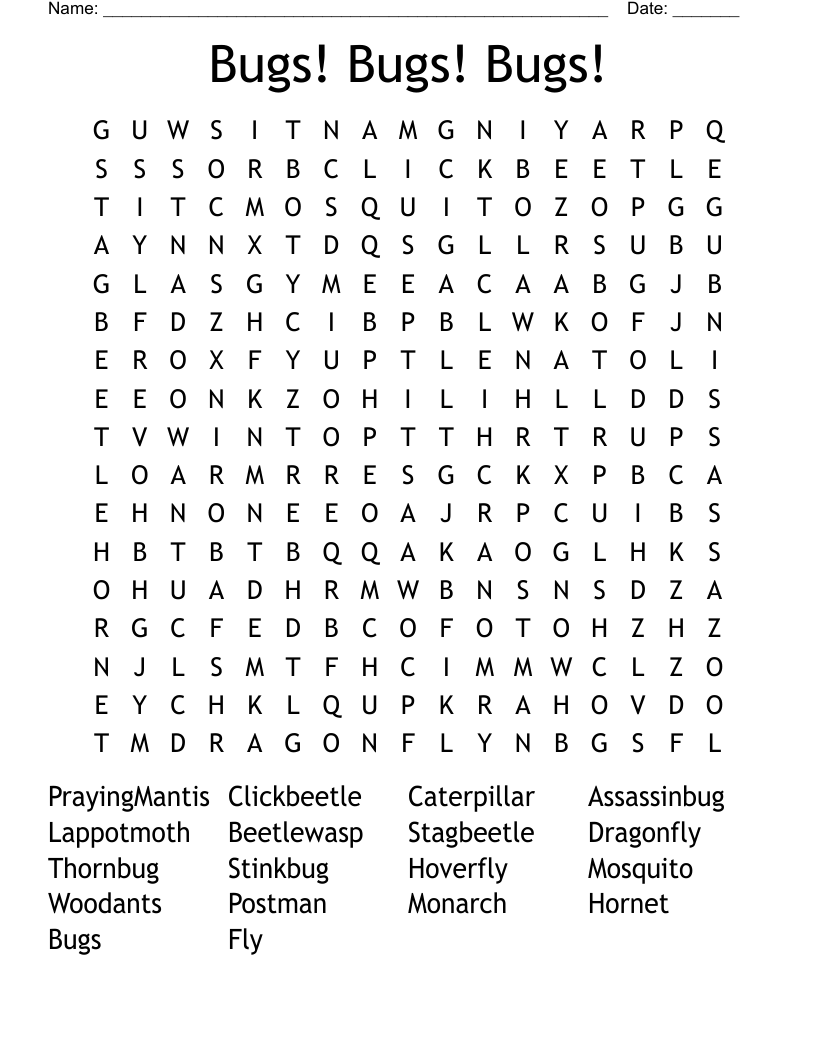 Bugs! Bugs! Bugs! Word Search