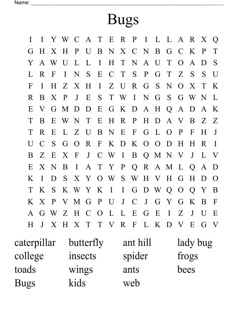 Bugs  Word Search