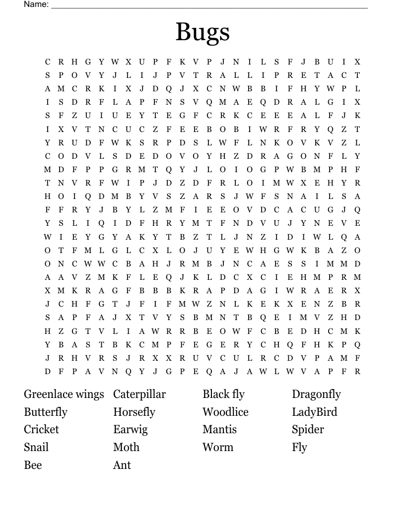 Bugs  Word Search