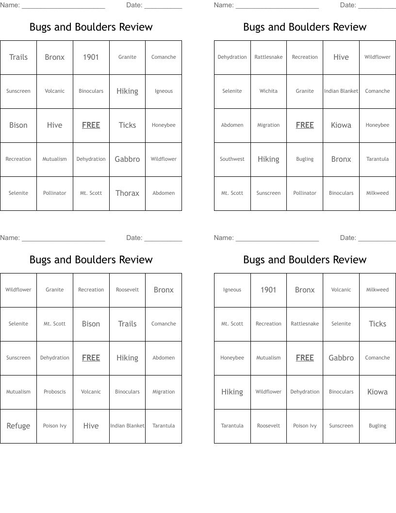 Bugs and Boulders Review Bingo Cards
