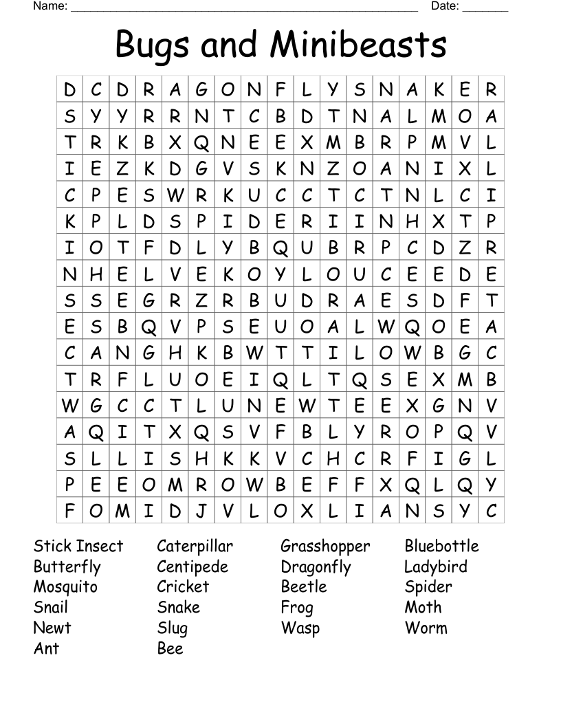 Bugs and Minibeasts Word Search