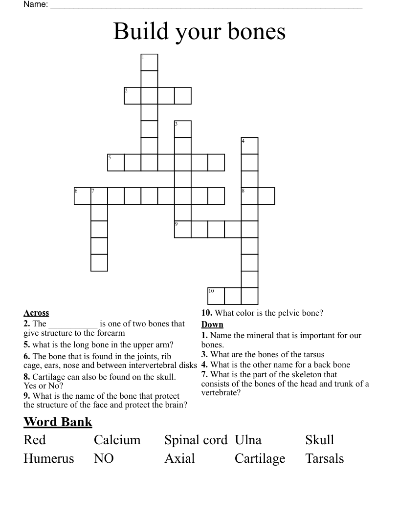 Build your bones Crossword