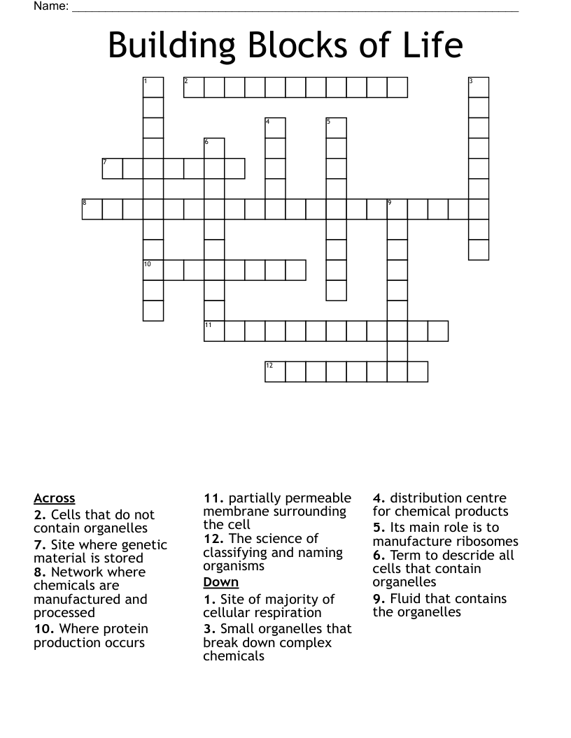 Building Blocks of Life Crossword