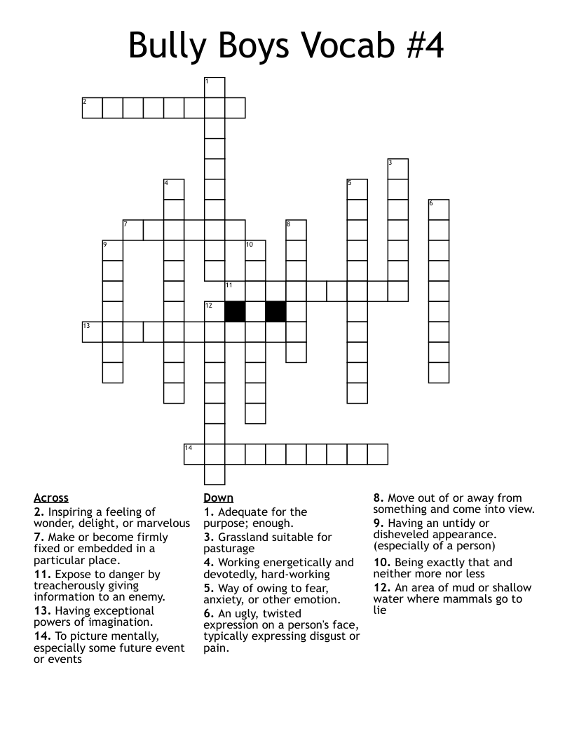 Bully Boys Vocab #4 Crossword
