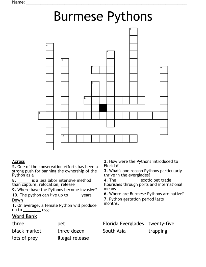 Burmese Pythons Crossword