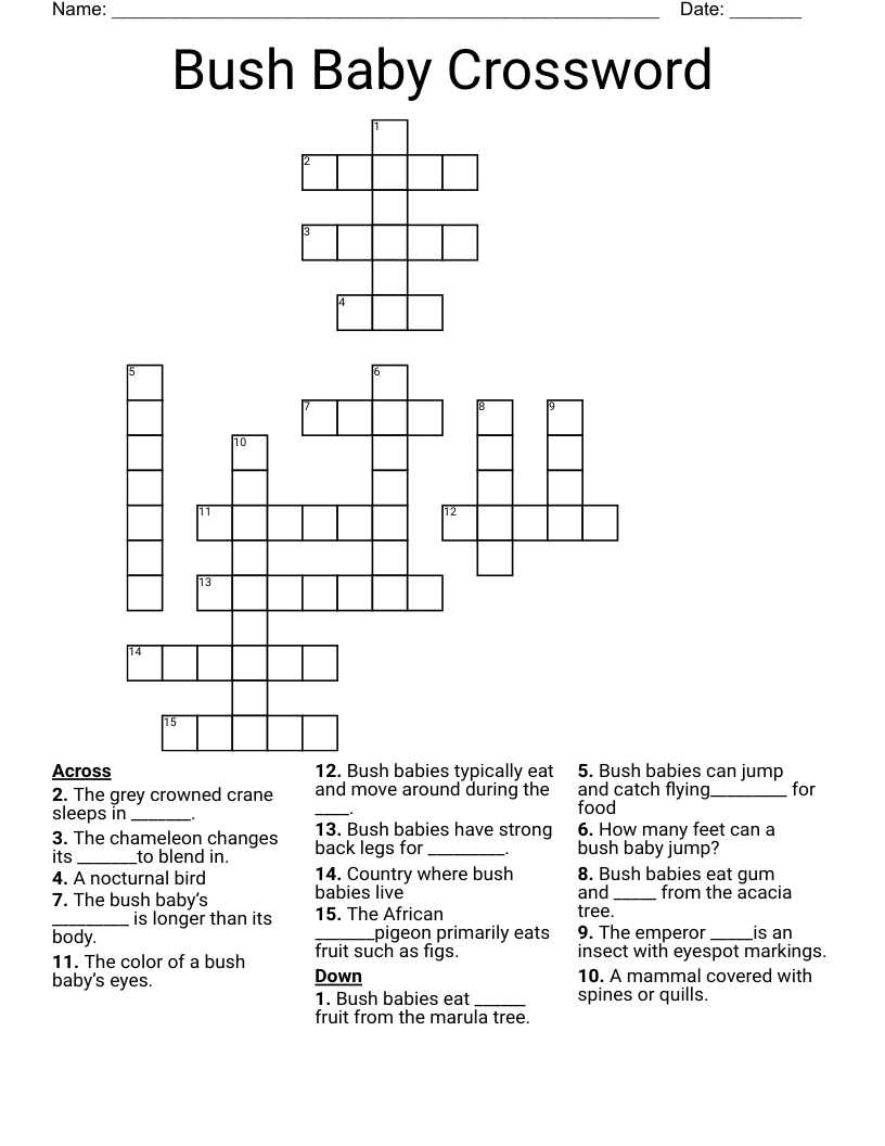Bush Baby Crossword