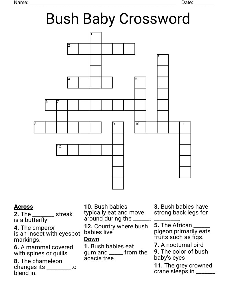 Bush Baby Crossword