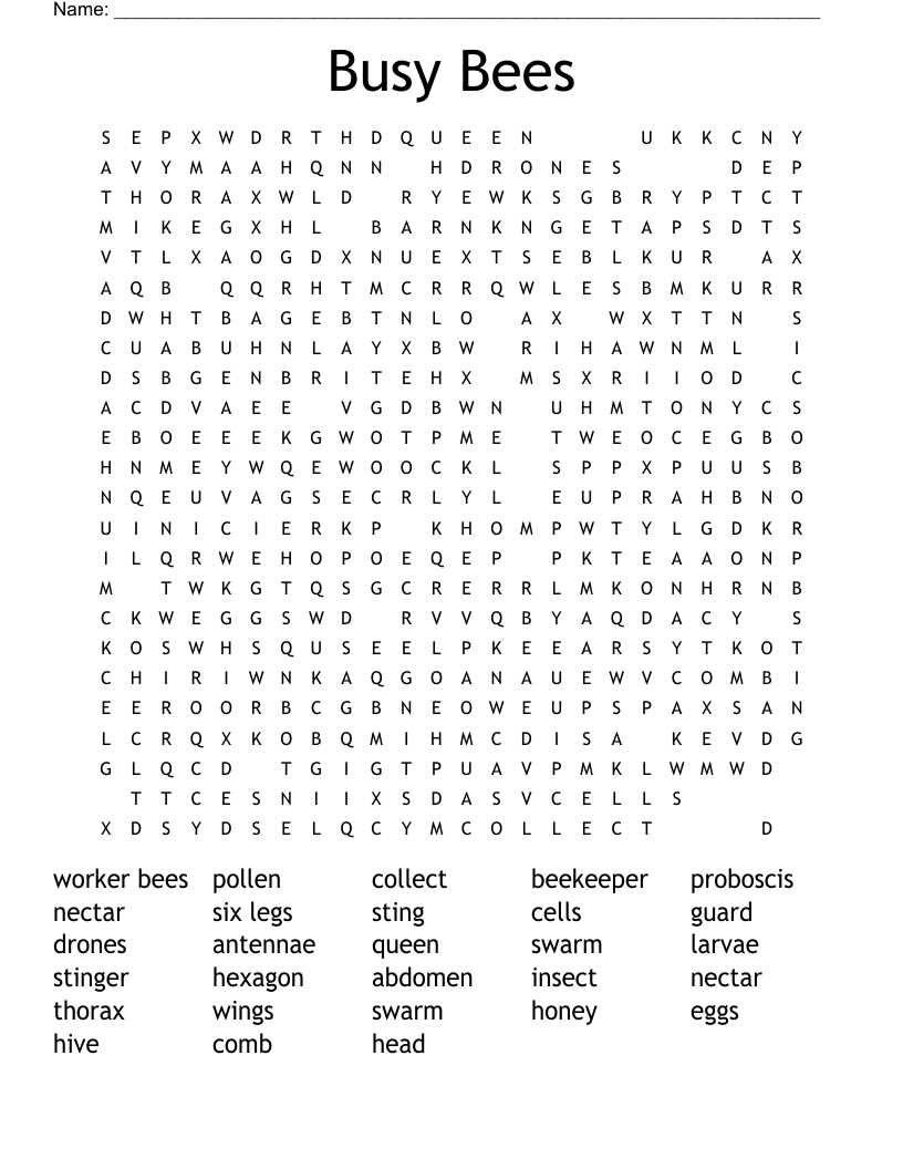 Busy Bees Word Search