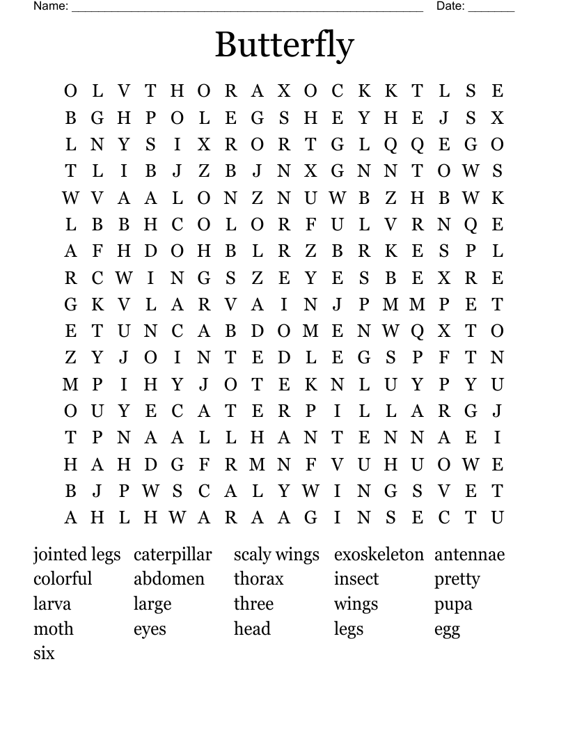 Butterfly Word Search