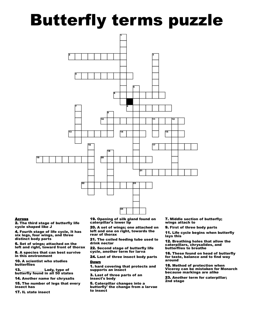 Butterfly terms puzzle Crossword
