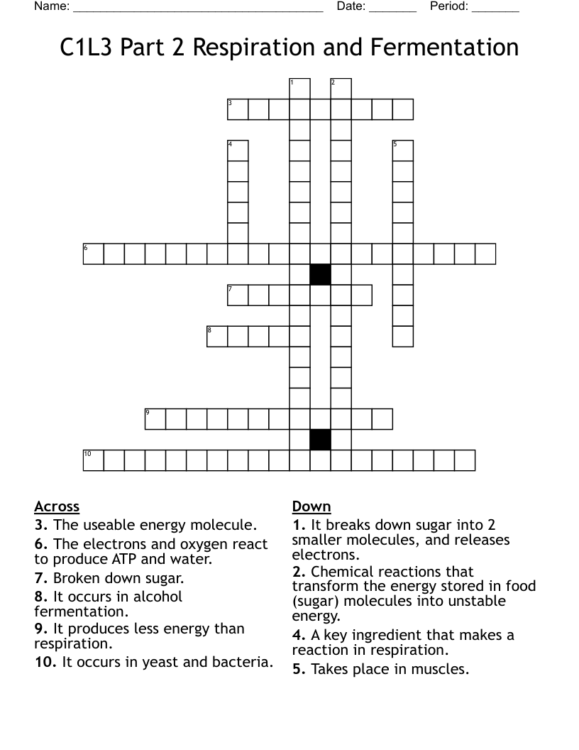 C1L3 Part 2 Respiration and Fermentation Crossword
