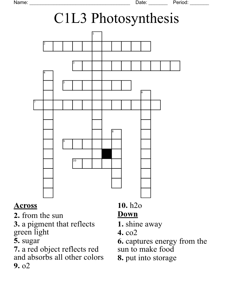 C1L3 Photosynthesis Crossword