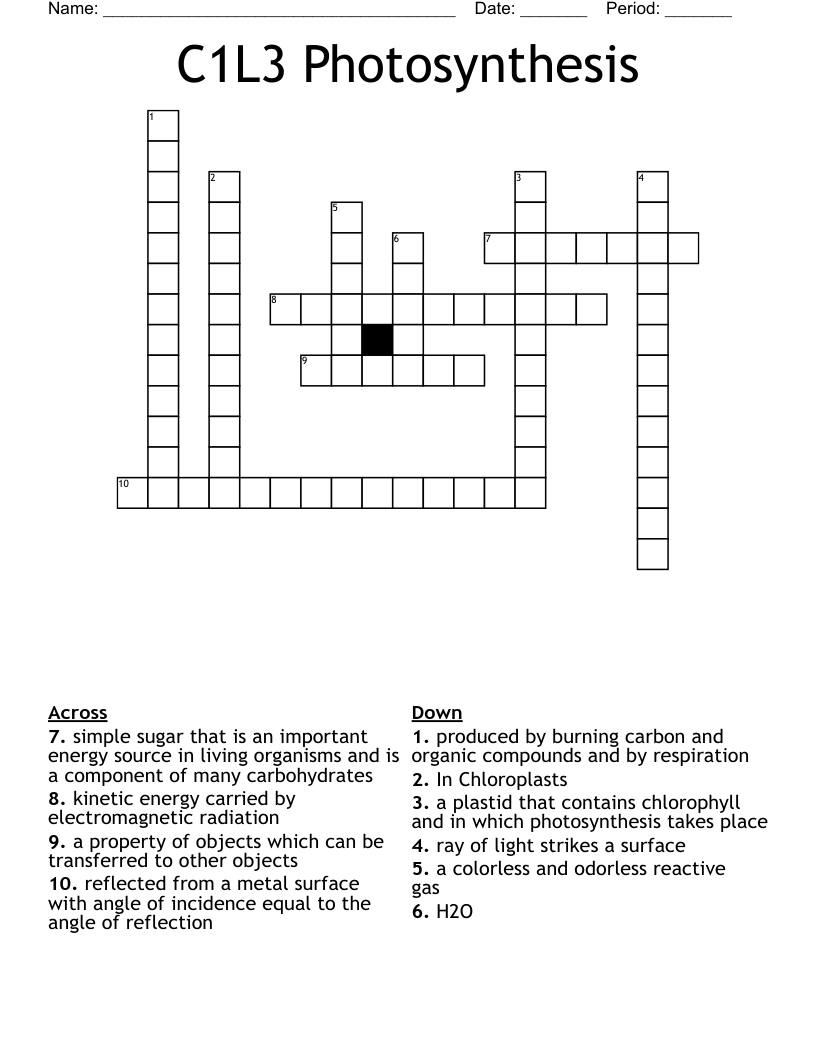 C1L3 Photosynthesis Crossword