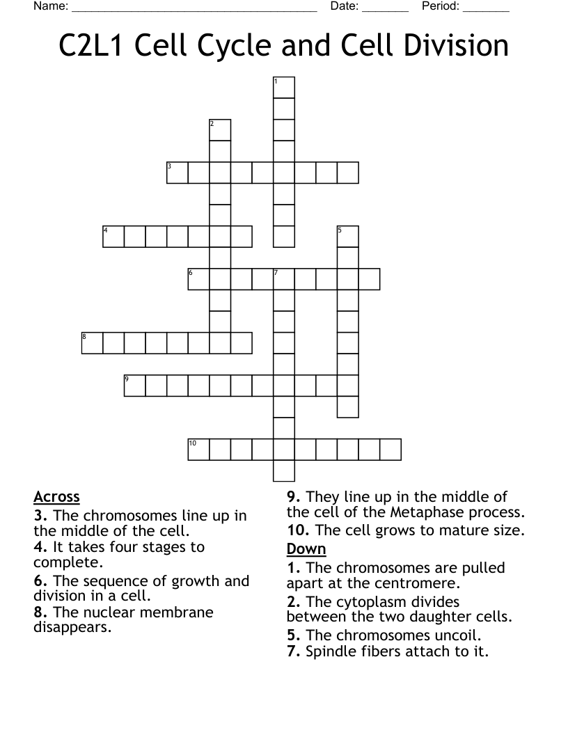 C2L1 Cell Cycle and Cell Division Crossword