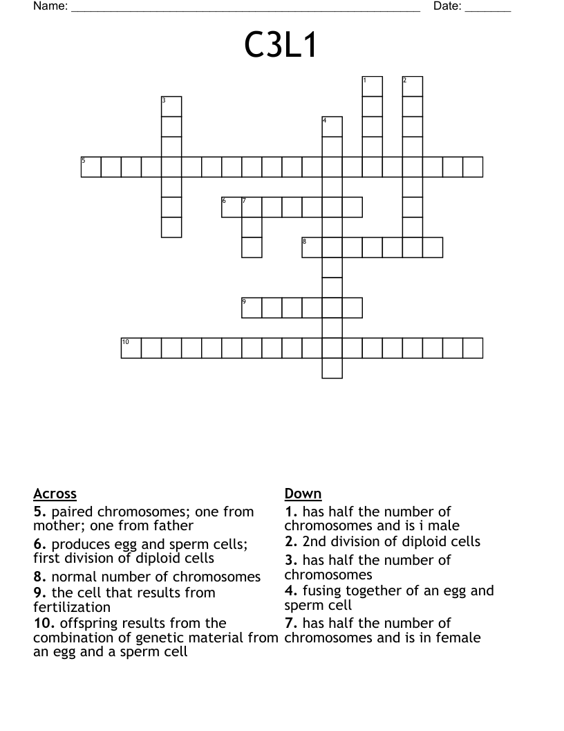 C3L1 Crossword