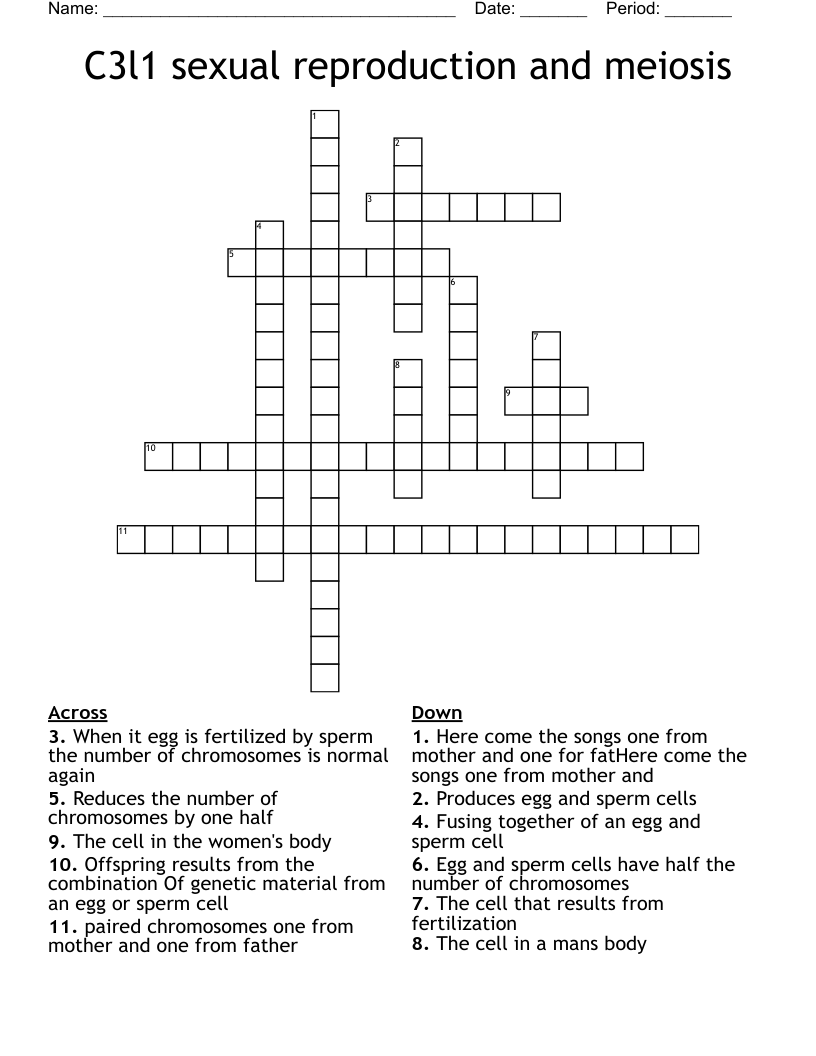 C3l1 sexual reproduction and meiosis Crossword