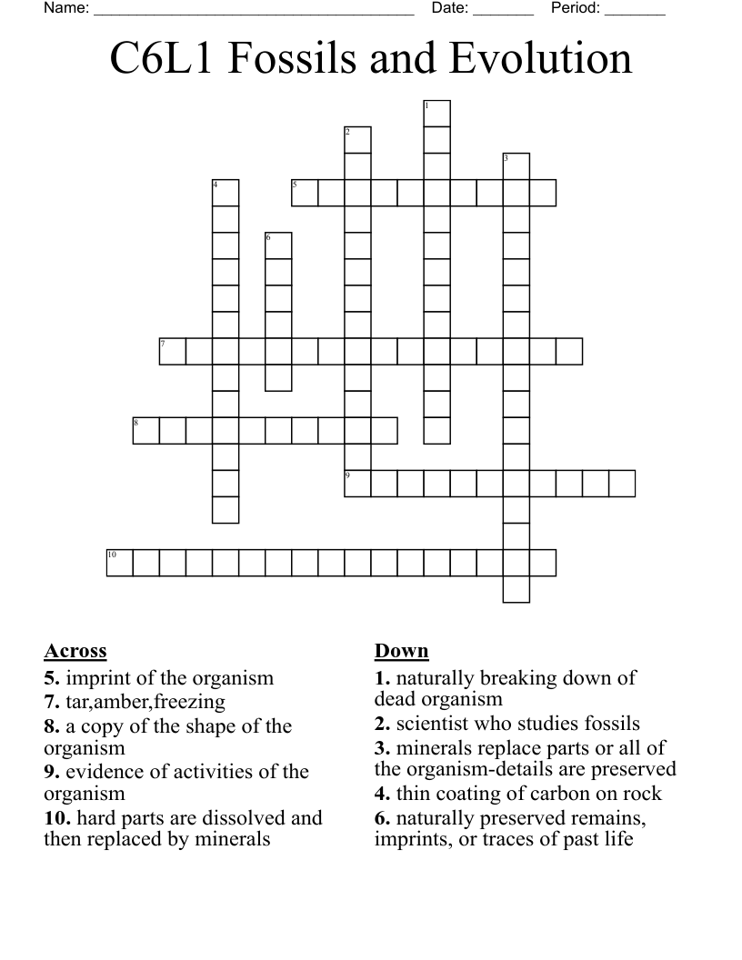 C6L1 Fossils and Evolution Crossword
