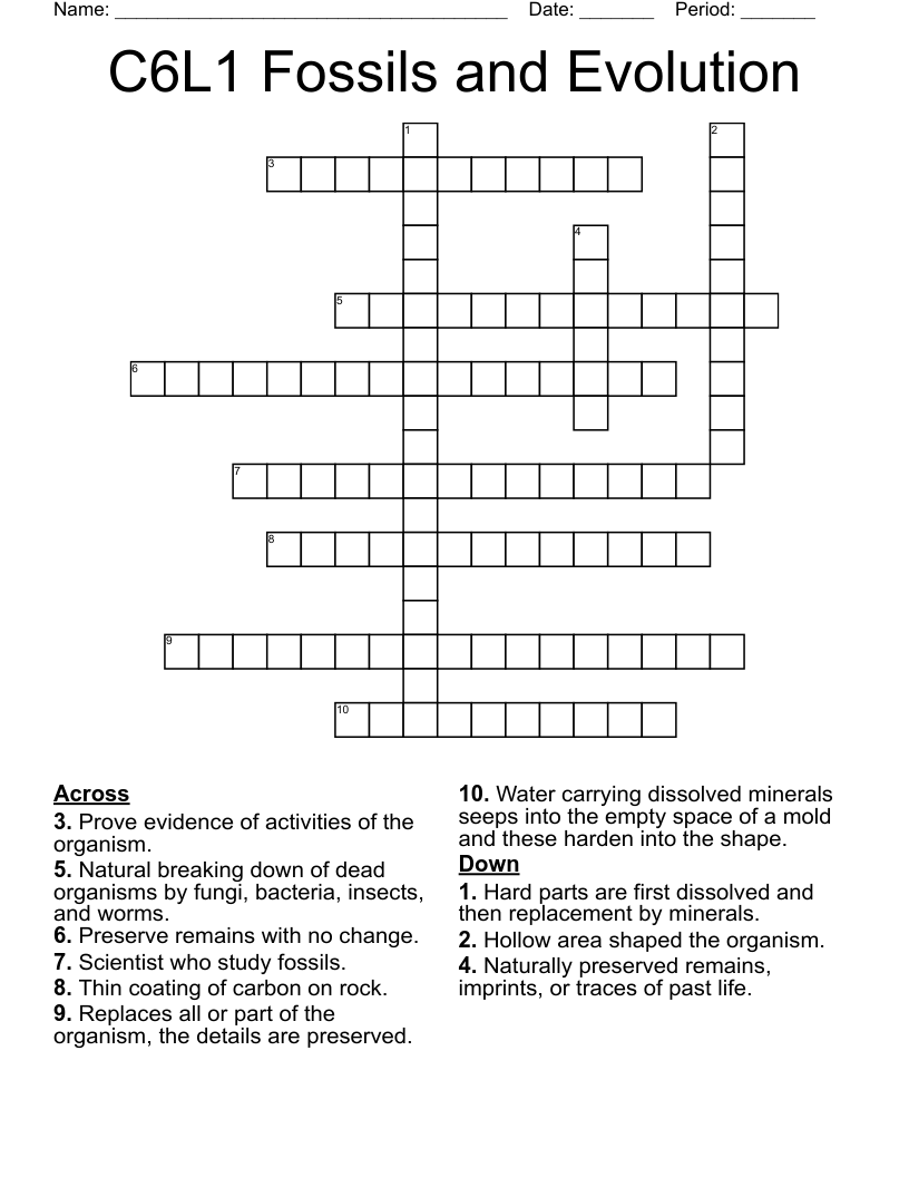 C6L1 Fossils and Evolution Crossword