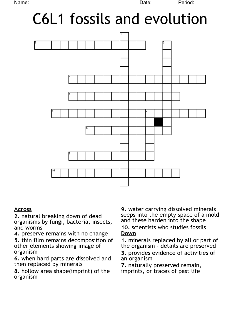 C6L1 fossils and evolution Crossword