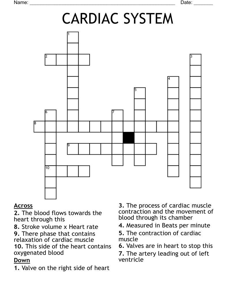 CARDIAC SYSTEM Crossword