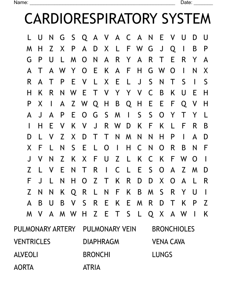 CARDIORESPIRATORY SYSTEM Word Search