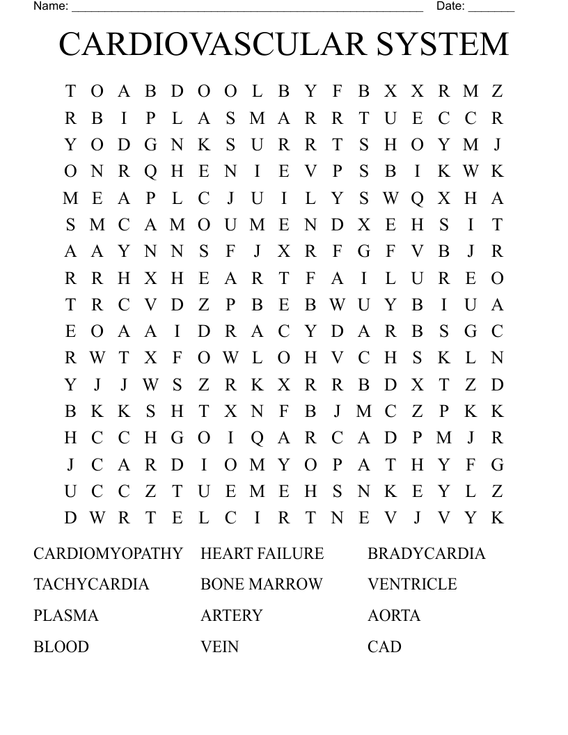 CARDIOVASCULAR SYSTEM Word Search