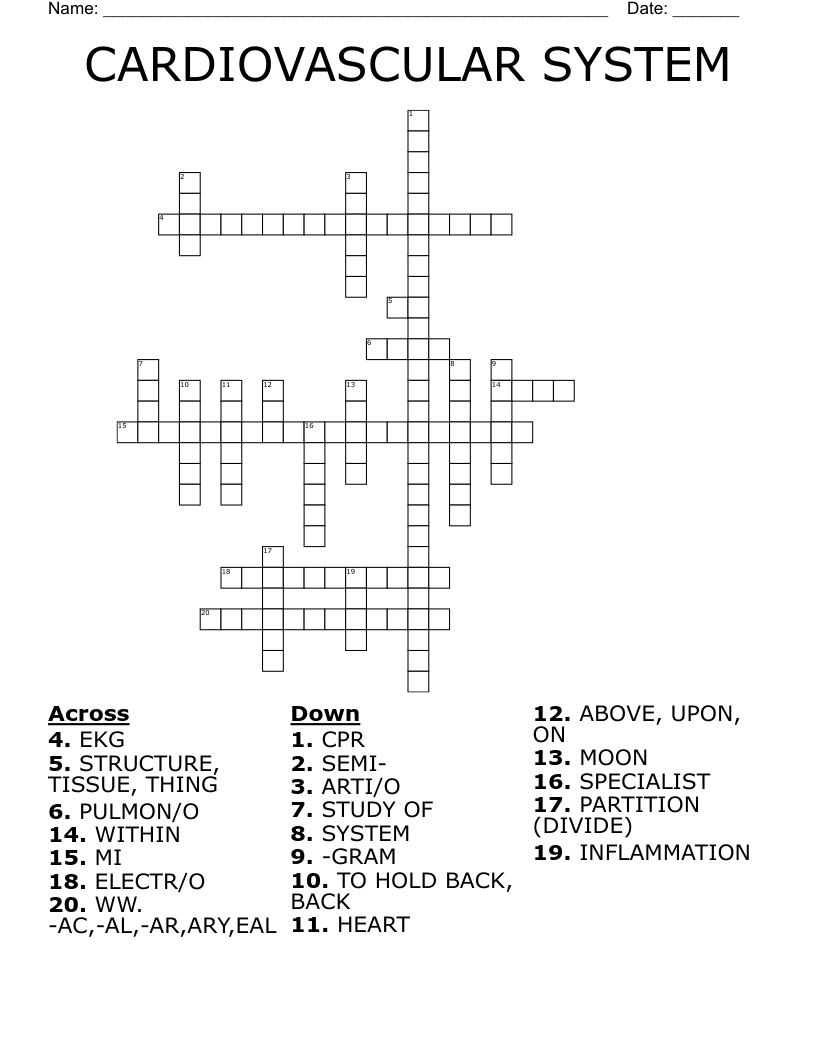 CARDIOVASCULAR SYSTEM Crossword