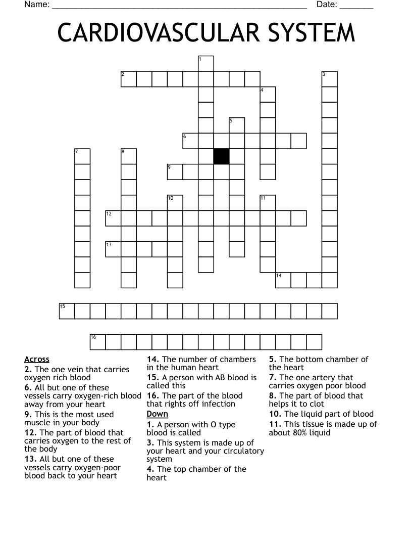 CARDIOVASCULAR SYSTEM Crossword