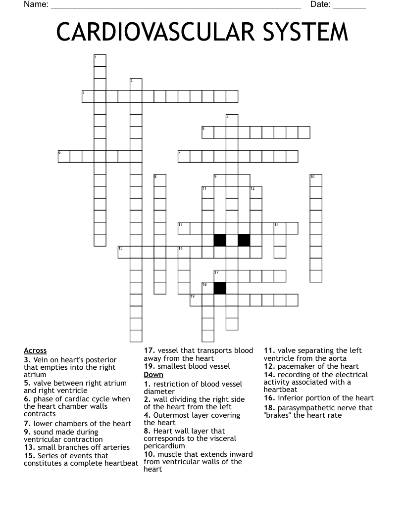 CARDIOVASCULAR SYSTEM Crossword