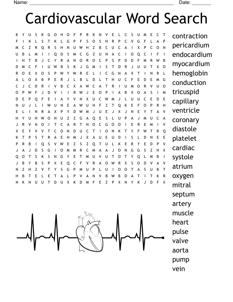 Cardiovascular Word Search