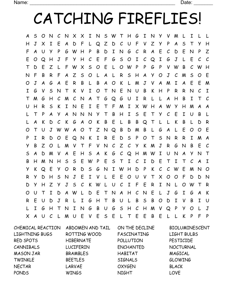 CATCHING FIREFLIES! Word Search