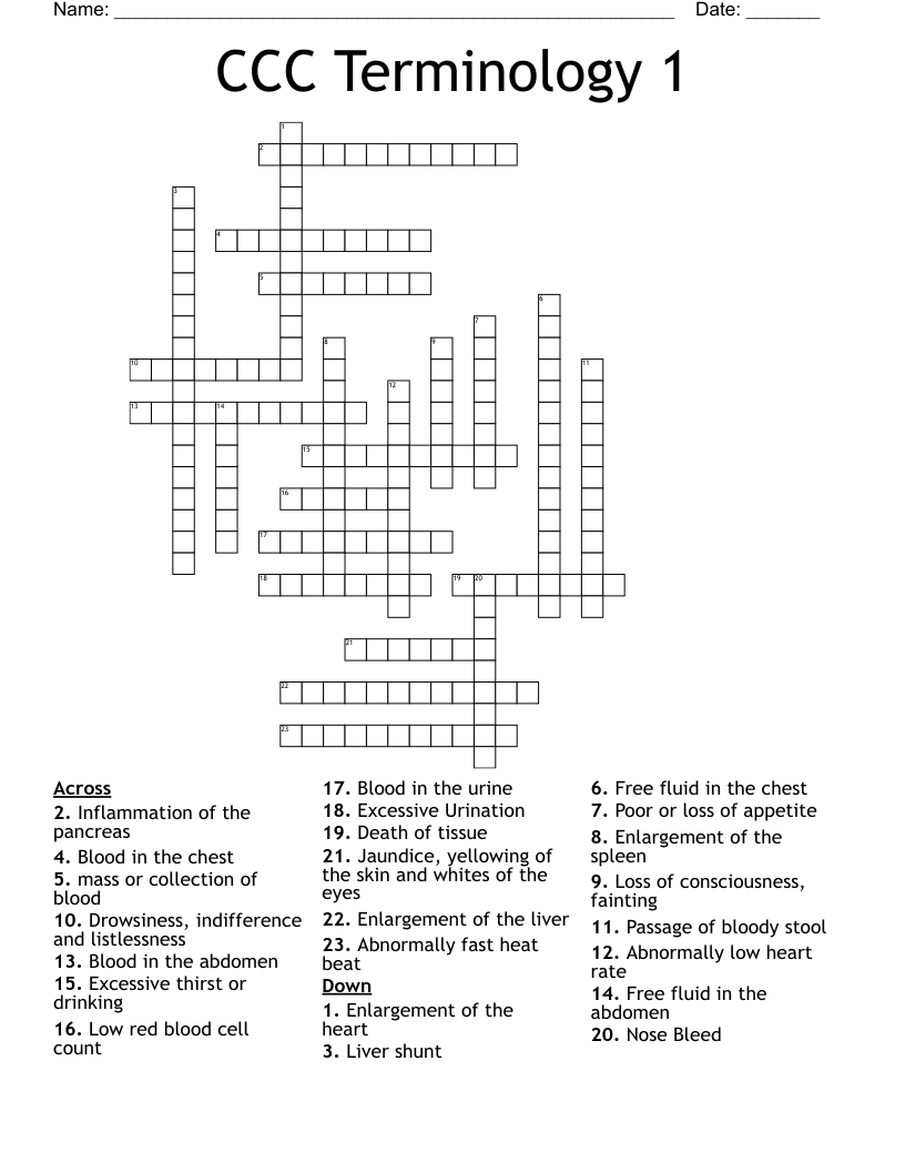 CCC Terminology 1 Crossword