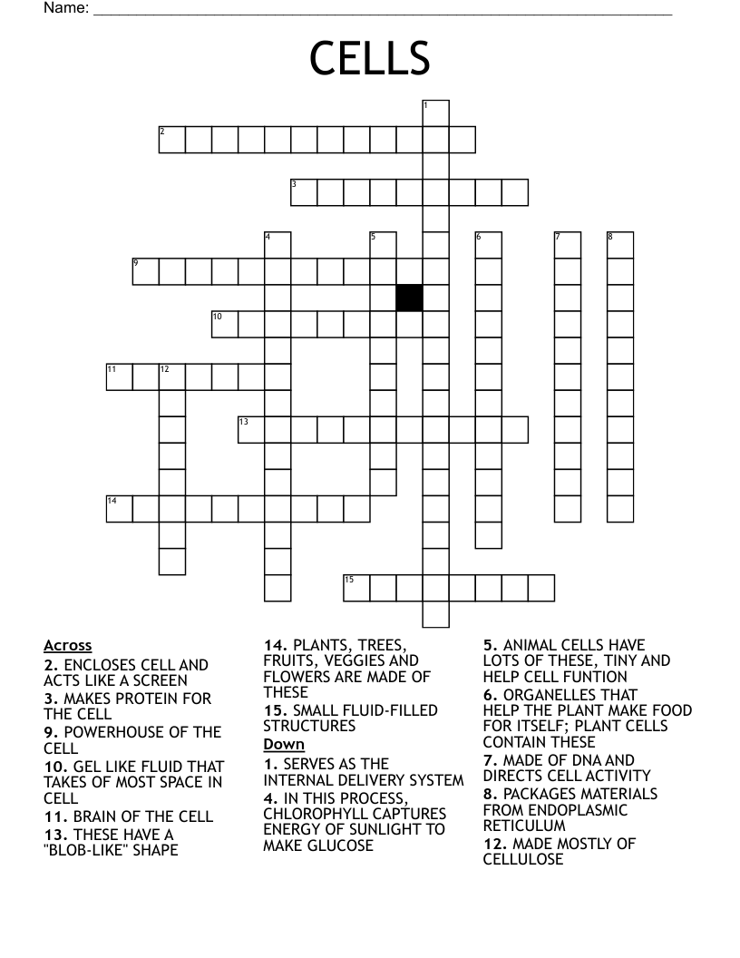 CELLS Crossword