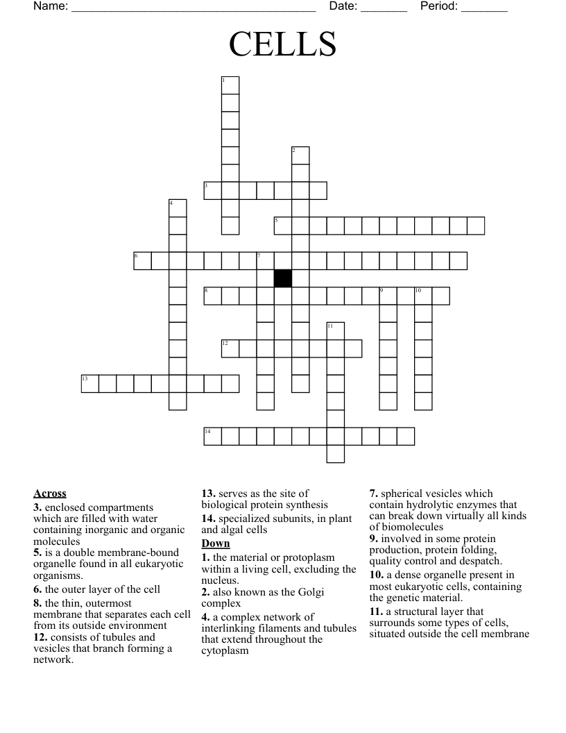 CELLS Crossword