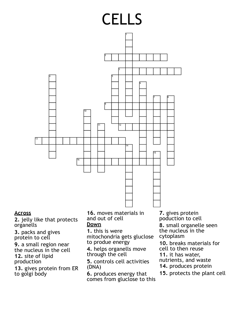 CELLS Crossword