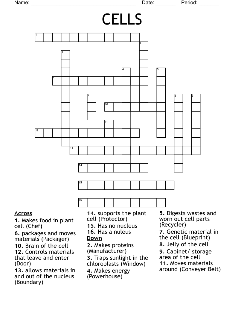 CELLS Crossword