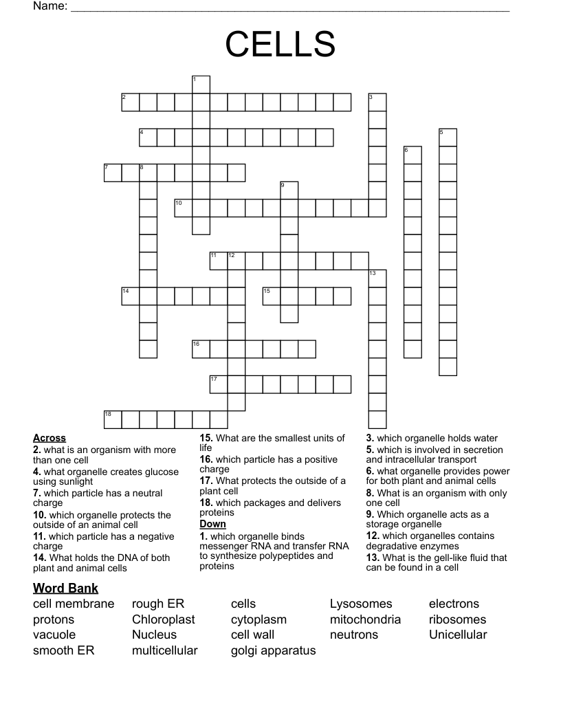 CELLS Crossword