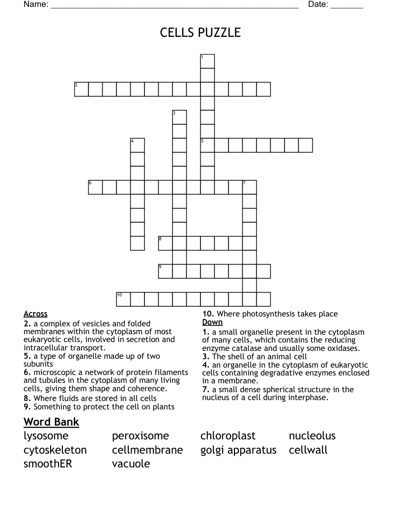 CELLS PUZZLE                                                              Crossword
