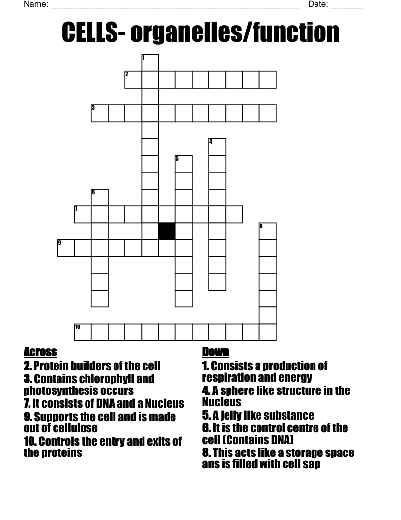 CELLS- organelles/function Crossword
