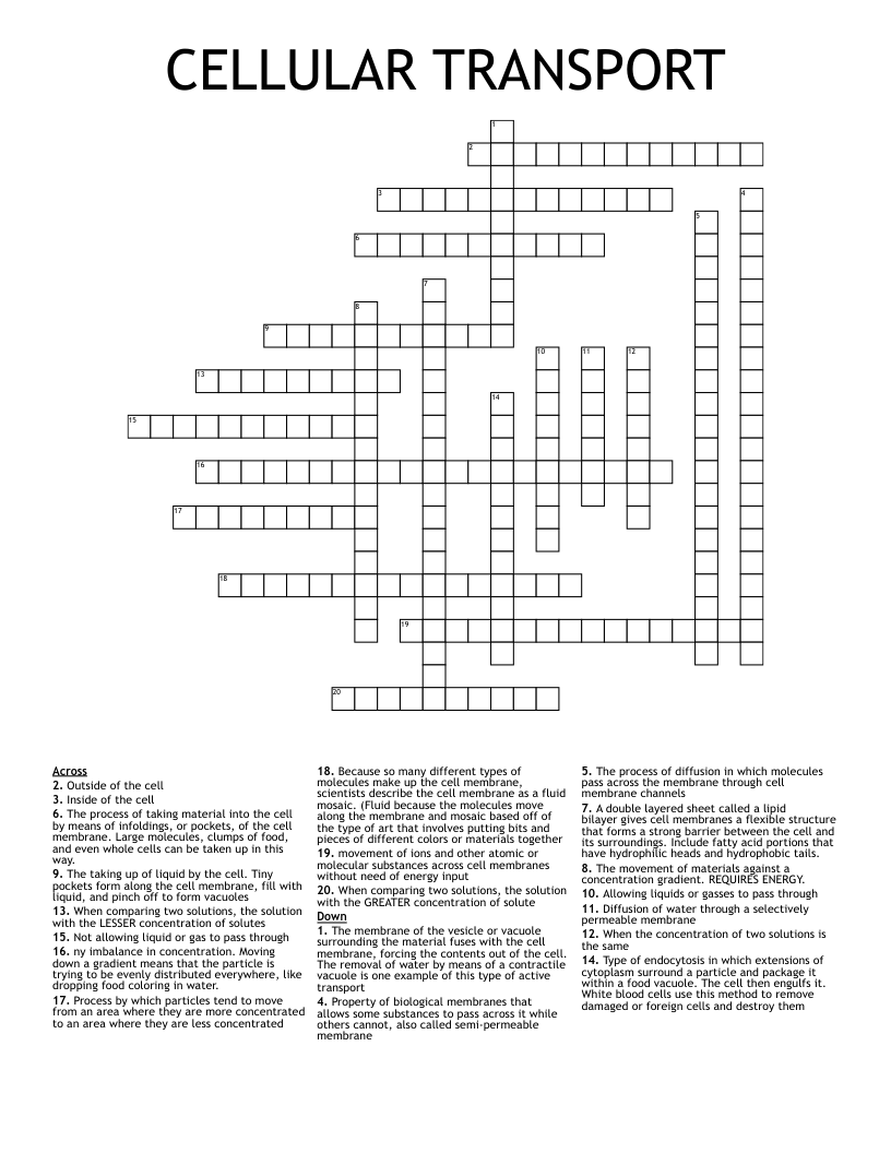 CELLULAR TRANSPORT Crossword