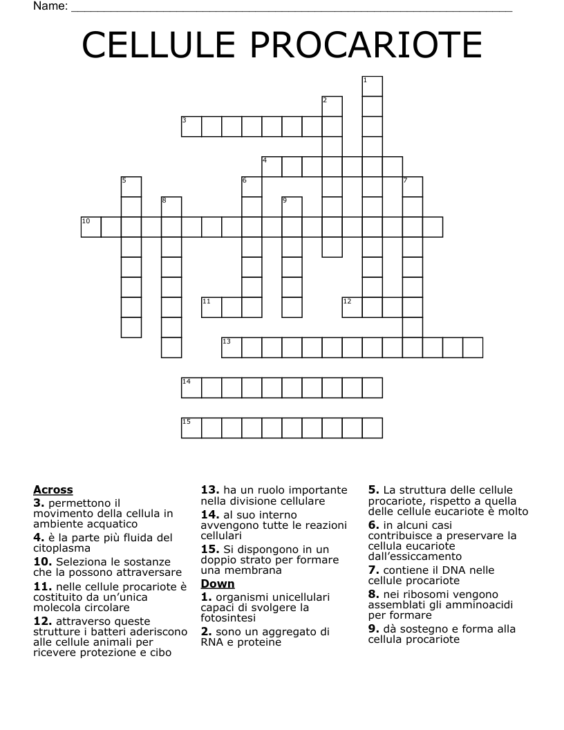 CELLULE PROCARIOTE Crossword