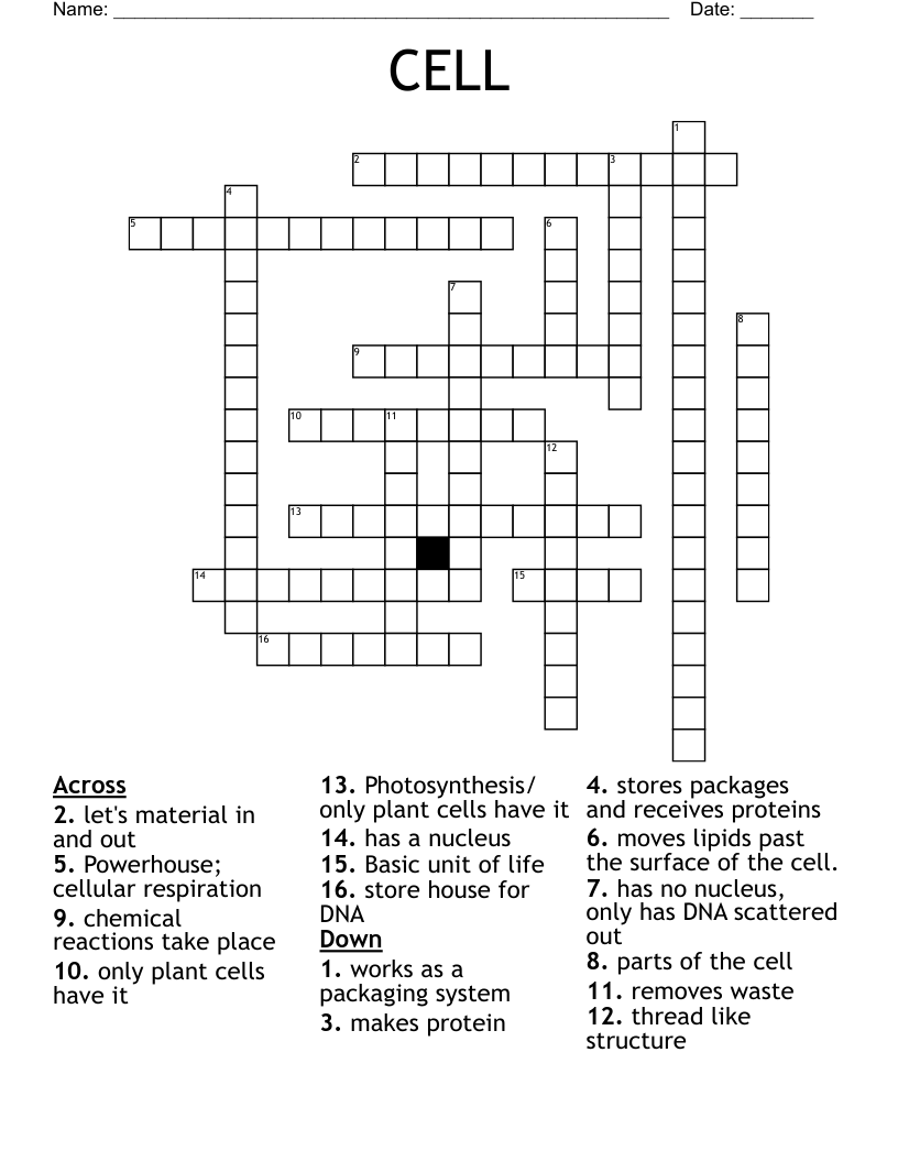 CELL Crossword