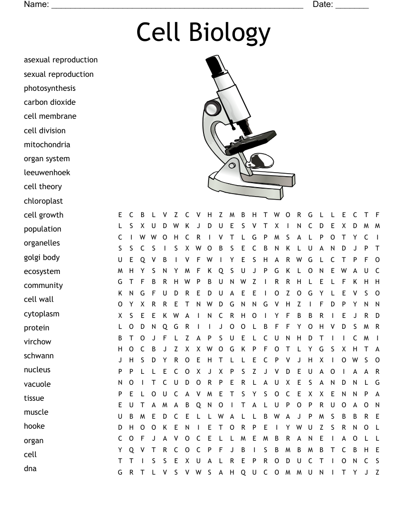 Cell Biology Word Search