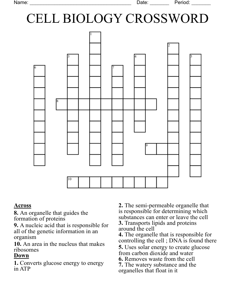 CELL BIOLOGY CROSSWORD 