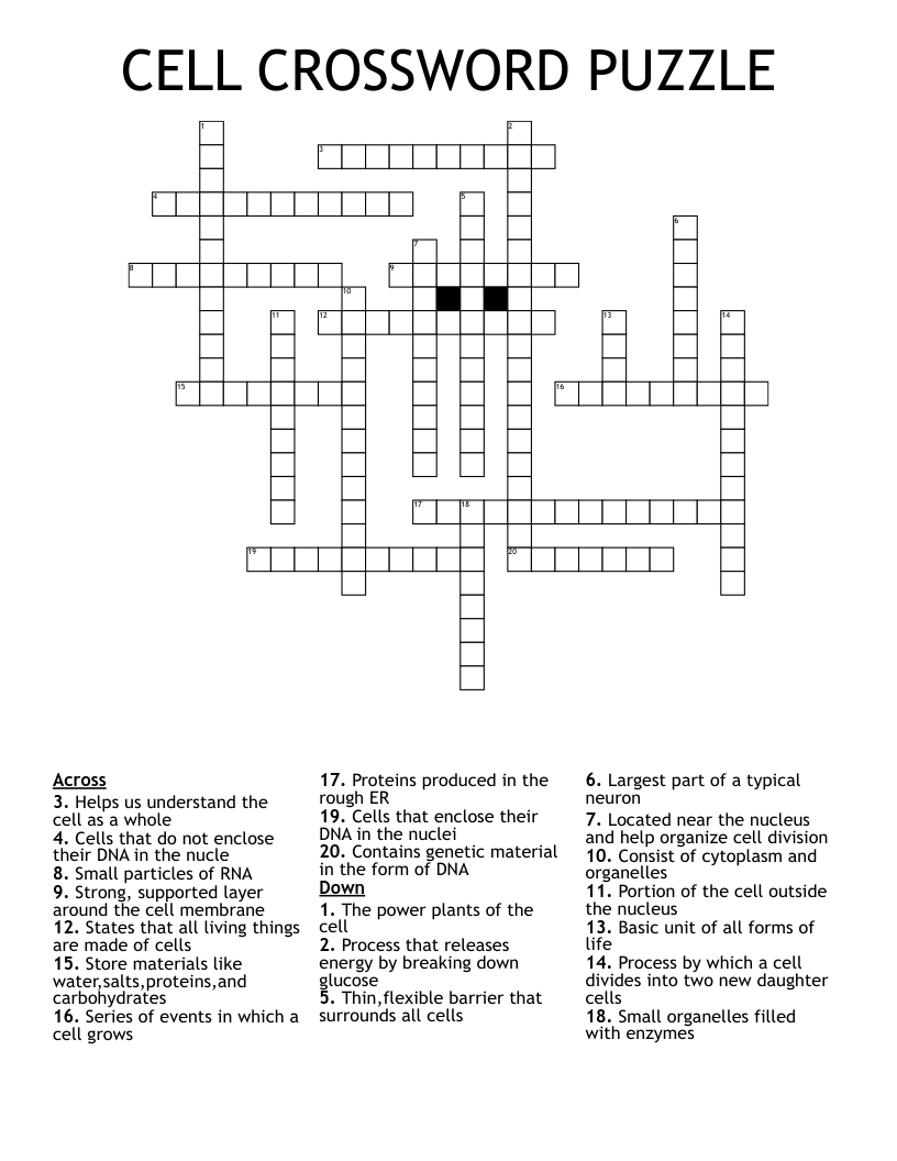 CELL CROSSWORD PUZZLE