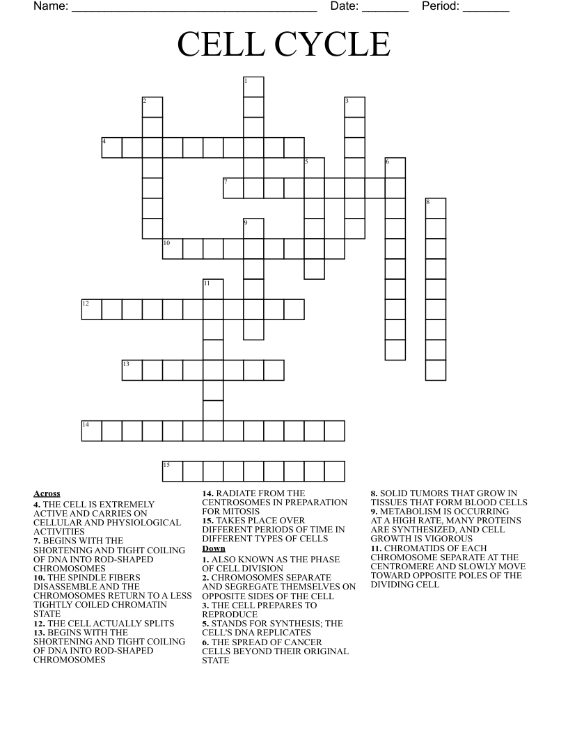 CELL CYCLE Crossword