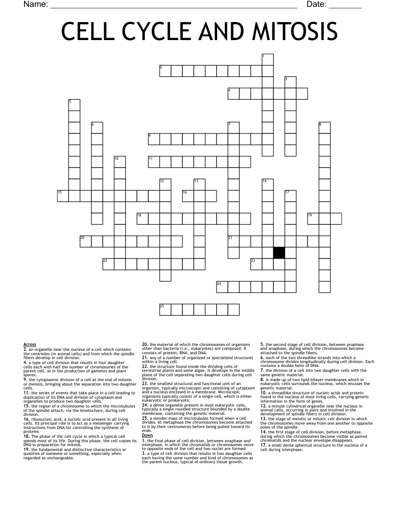 CELL CYCLE AND MITOSIS  Crossword