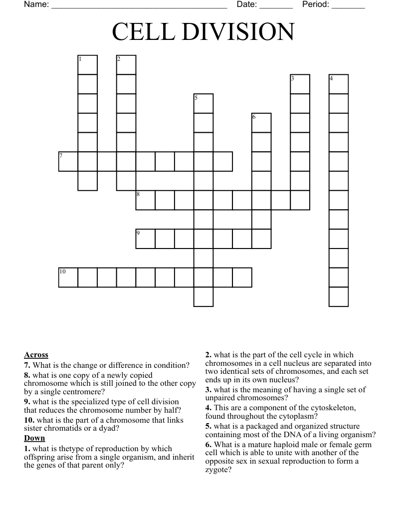 CELL DIVISION  Crossword