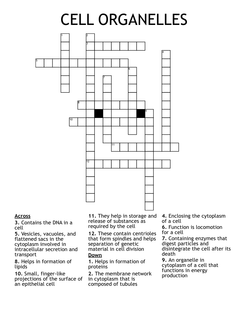 CELL ORGANELLES Crossword