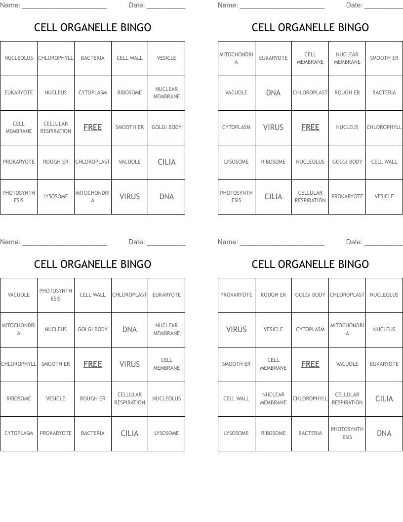 CELL ORGANELLE BINGO